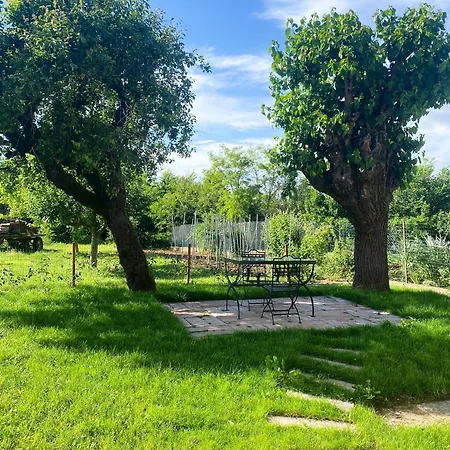 Bed & Breakfast Le Zucche Vuote Quargnento